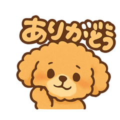 Cute! Toy Poodle Everyday Life