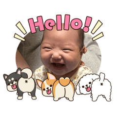 haruka_20251103133038