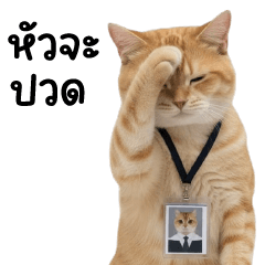 บิ๊ก แมวส้มส้ม ❤️ ตัวตึงออฟฟิศ 2