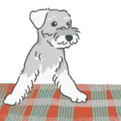 Everyday with My Schnauzer