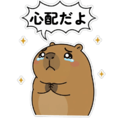 [Soft and fluffy] Capybara