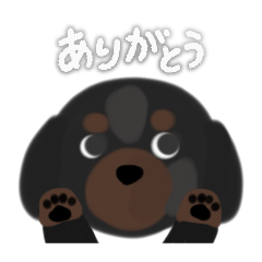 yuzuki_20251103154912