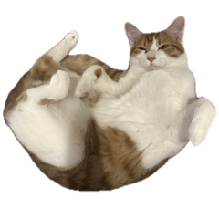 Mayakovsky_20251103165551