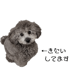 nanana_20251103175258