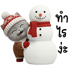 HAPPY IN CHRISTMAS DAY WITH KORAT CAT