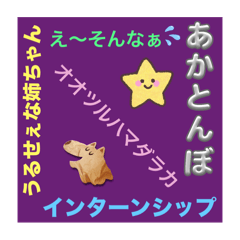 KAITO_20251103135728