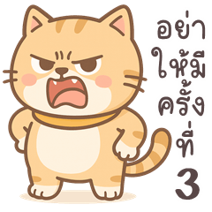 SomChoon Funny Cat (THAI)