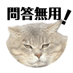 Hidekin_20251103160107