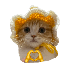 Metee love you
