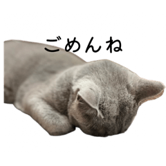 Rooney Stickers Part1