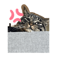 michan_20251103164650