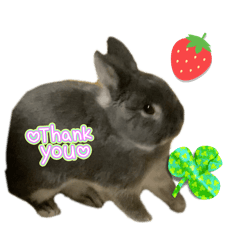 mochi_20251103181059