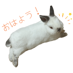 hikari_20251103190453