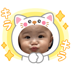 ruishiba_20251103190829