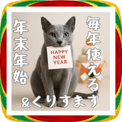 毎年使える♡ロシアンブルーの年末年始