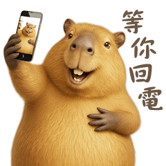 探索水豚的日常生活