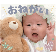 Kaito_20251103204008