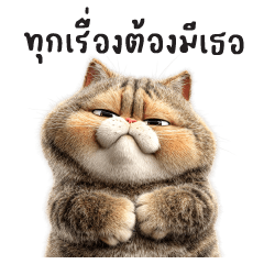 แมวเก็บมาเลี้ยง : คำฮิต : (บิ๊ก)