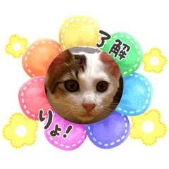 nanami_20251103211949