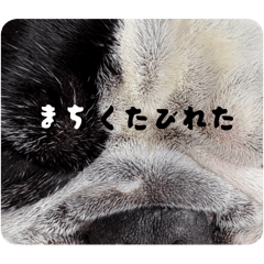 saori_20251103213018