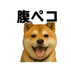 mario_20251103195410