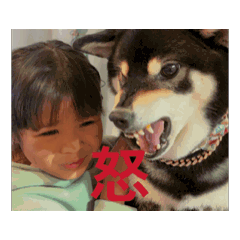 M_202511032037290000