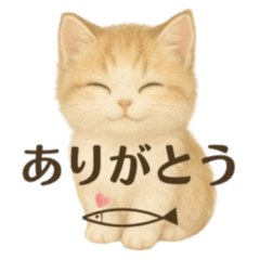 Fluffy Cat Daily Moments