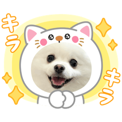 yuka_20251103180002