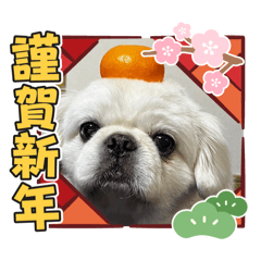 kabigon_20251103221942