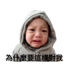 有貓有人有嬰兒