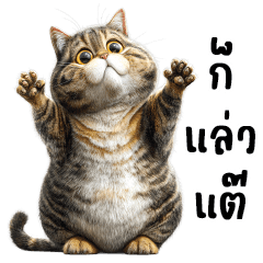 Adopted Cat : Hit Word