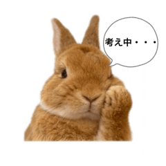 Takeru_20251103205708