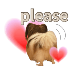 cute Papillon stickers