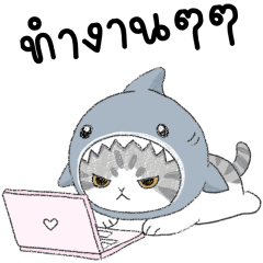 แองกี้ เหมียวมุมิ