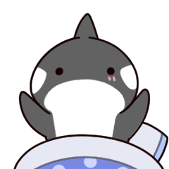 Of killer whales, Shatchi Everyday life