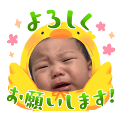 Hanamama_20251103202145