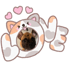 法豬豬kirro-日常生活篇