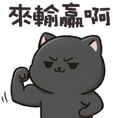 (ΦωΦ)ツ 萌貓貓來輸贏啊