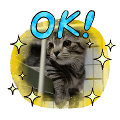 ASUKA_20251104083342