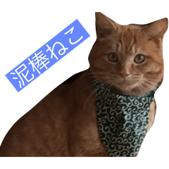 kinako_20251104081655