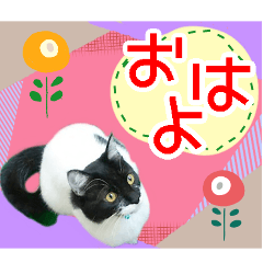 ヤングミツ夫の日常会話(北欧風秋ver.)