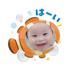 maple_20251104104849