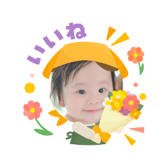 maple_20251104104354