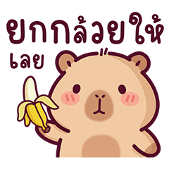 บงบง คาปิบาร่าเจ้าแสบ8