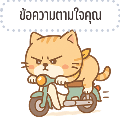 Message Stickers: SomChoon Funny Cat