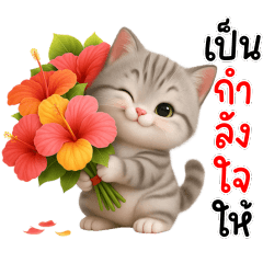 แมวน้อยน่ารัก ทักทายทุกวัน