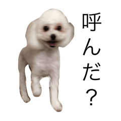 ohagi_20251103225055