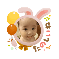 maple_20251104105022