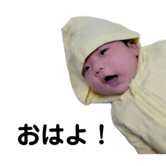 tanaka kun_20251103235331