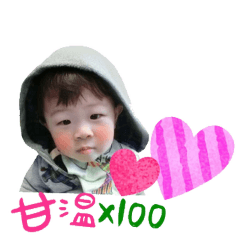 豪寶日常